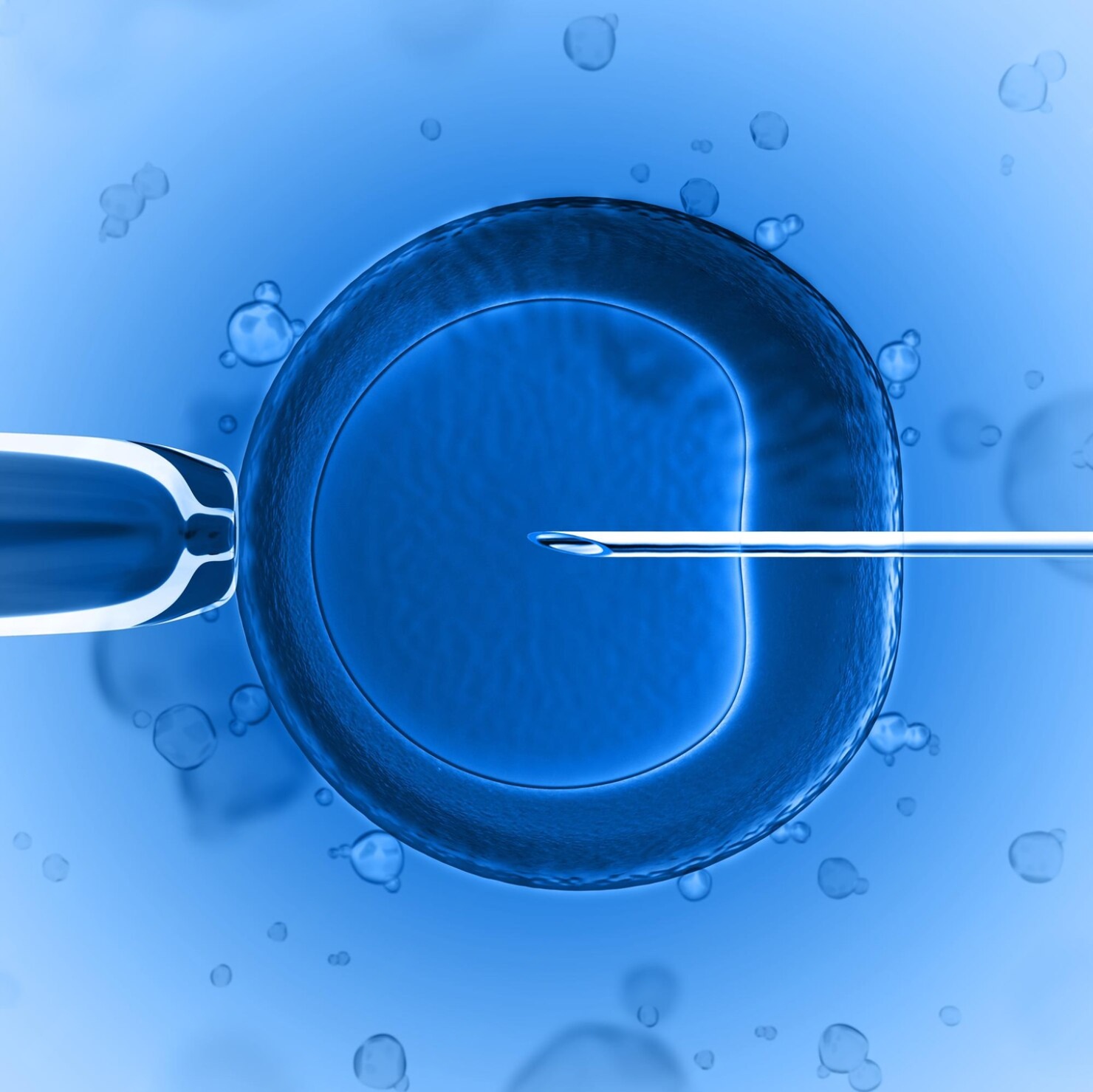 3rd ANNUAL CONVENTION FOR CLINICAL EMBRYOLOGY & ASSISTED REPRODUCTIVE TECHNOLOGY